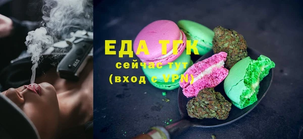 индика Корсаков