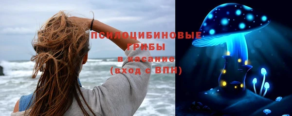 ГАЛЛЮЦИНОГЕННЫЕ ГРИБЫ Костерёво