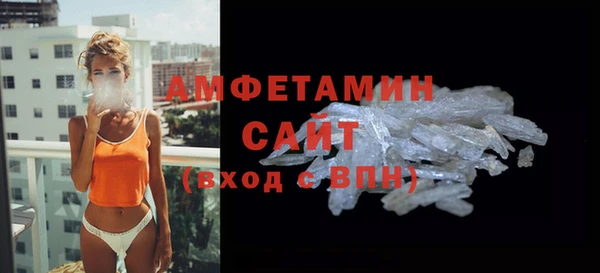 молекула духа Козельск