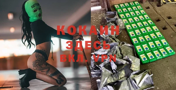 индика Корсаков
