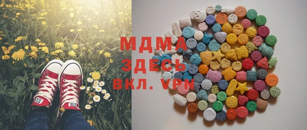 молекула духа Козельск
