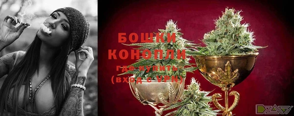 молекула духа Козельск