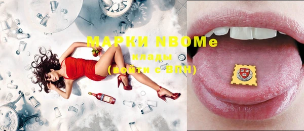 молекула духа Козельск