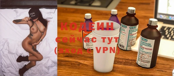 молекула духа Козельск