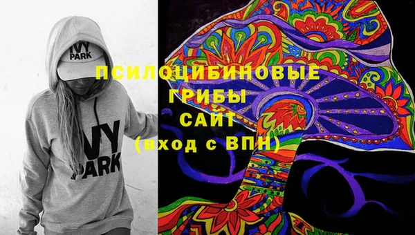 молекула духа Козельск