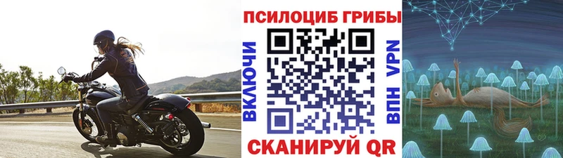 Псилоцибиновые грибы GOLDEN TEACHER Михайловка